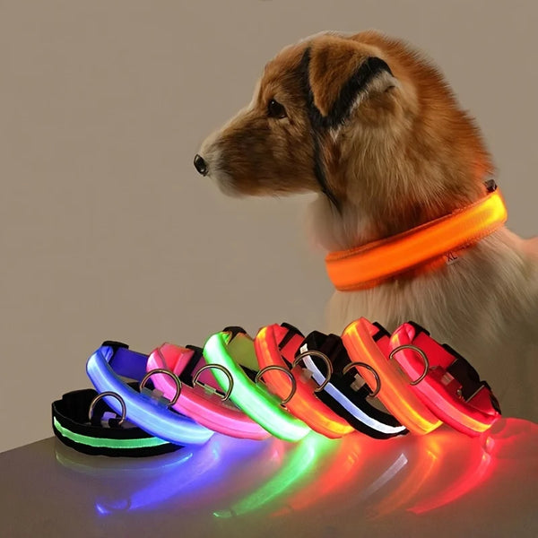 GlowGuard LED Dog Leash