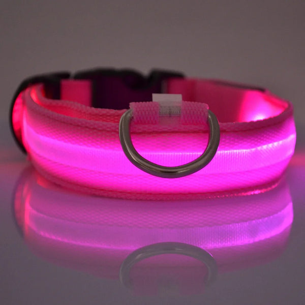 GlowGuard LED Dog Leash